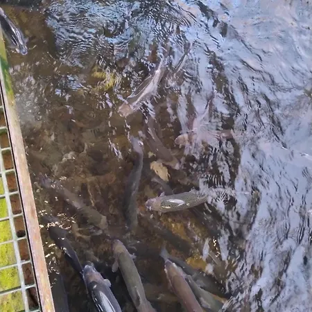 Altana Letnia Nr5 - Herbergerowka Na Wsi Hytte