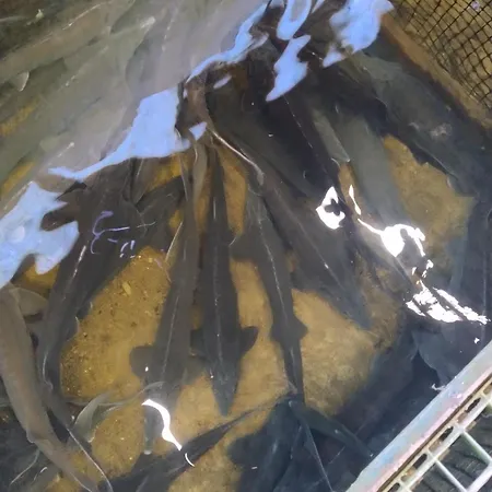 Altana Letnia Nr5 - Herbergerowka Na Wsi