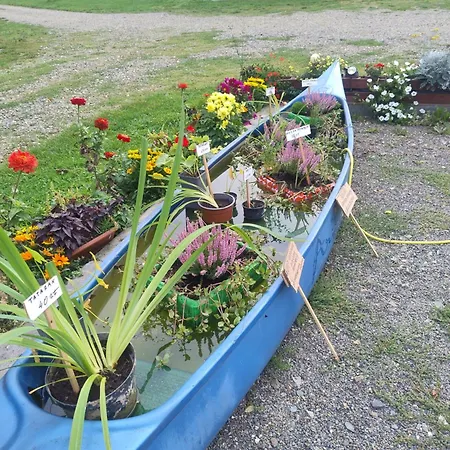 Hytte Altana Letnia Nr5 - Herbergerowka Na Wsi