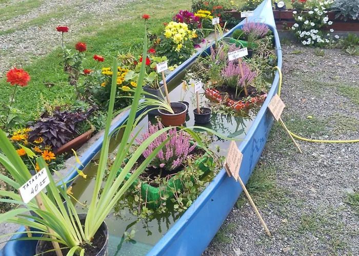 Hytte Altana Letnia Nr5 - Herbergerowka Na Wsi