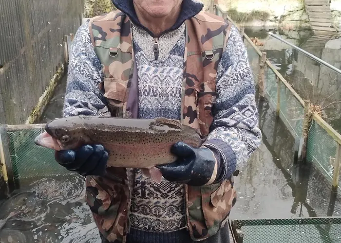 Altana Letnia Nr5 - Herbergerowka Na Wsi Hytte *